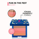Fun in The Fest Allık