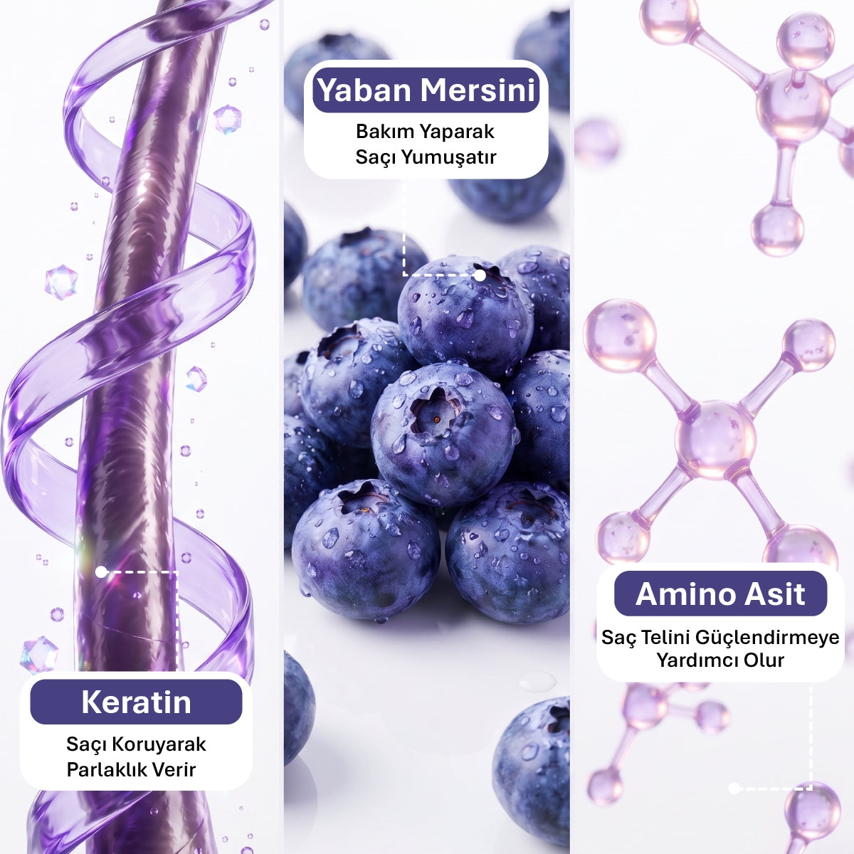 ASHLEY JOY MOR ŞAMPUAN 250ML